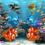 How to Start up a New Aquarium – A Beginner Guide