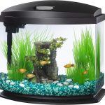 Aqueon LED MiniBow 5 Gallon Fish Tank Kit with SmartClean Technology, Black.