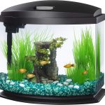 Aqueon LED MiniBow Black Fish Tank Kit, 2.5 Gallon with SmartClean Technology