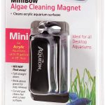Aqueon Small Black Algae Cleaning Magnets for Glass/Acrylic Aquariums.