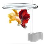 MagiRing – Magnetic Invisible Feeding Ring for Floating Aquariums