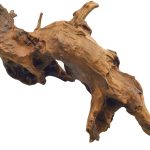 EDGCTYU: Natural Driftwood for Aquarium and Reptile Decoration