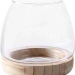 Fofetbfo Glass Hydroponic Terrarium: Unique Fish Bowl Aquarium with Wood Base