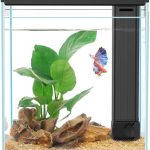 Glass Aquarium Starter Kit: Betta Fish Tank, 2.3 Gallon with Filter and Light