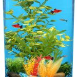 Koller Products 3-Gallon 360 Aquarium: LED Lighting, Power Filter, 7 Color Choices