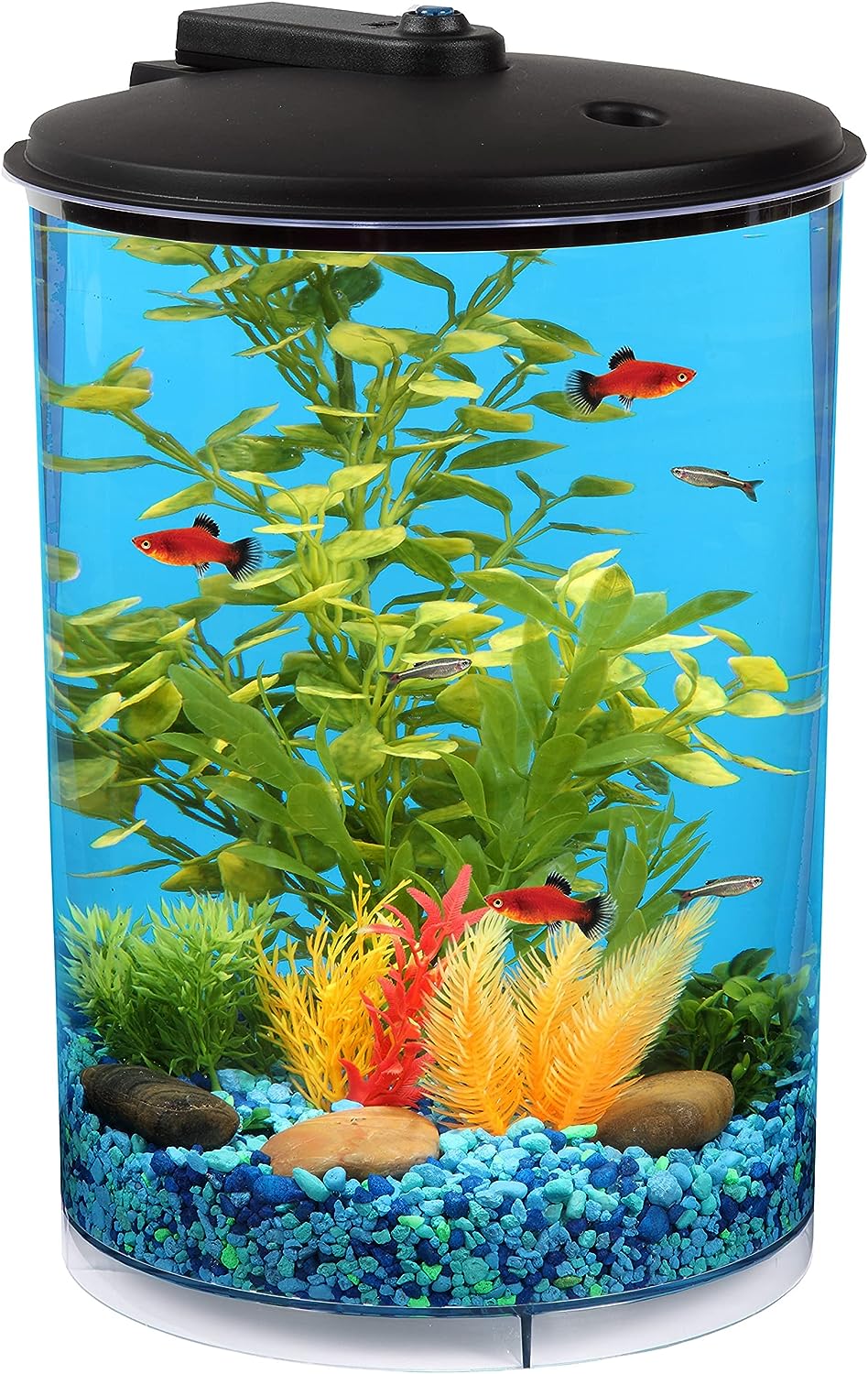 Koller Products 3-Gallon 360 Aquarium: LED Lighting, Power Filter, 7 Color Choices
