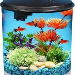Koller Products AquaView: 2-Gallon Starter Kit for Tropical Fish with LED Light and Filter.