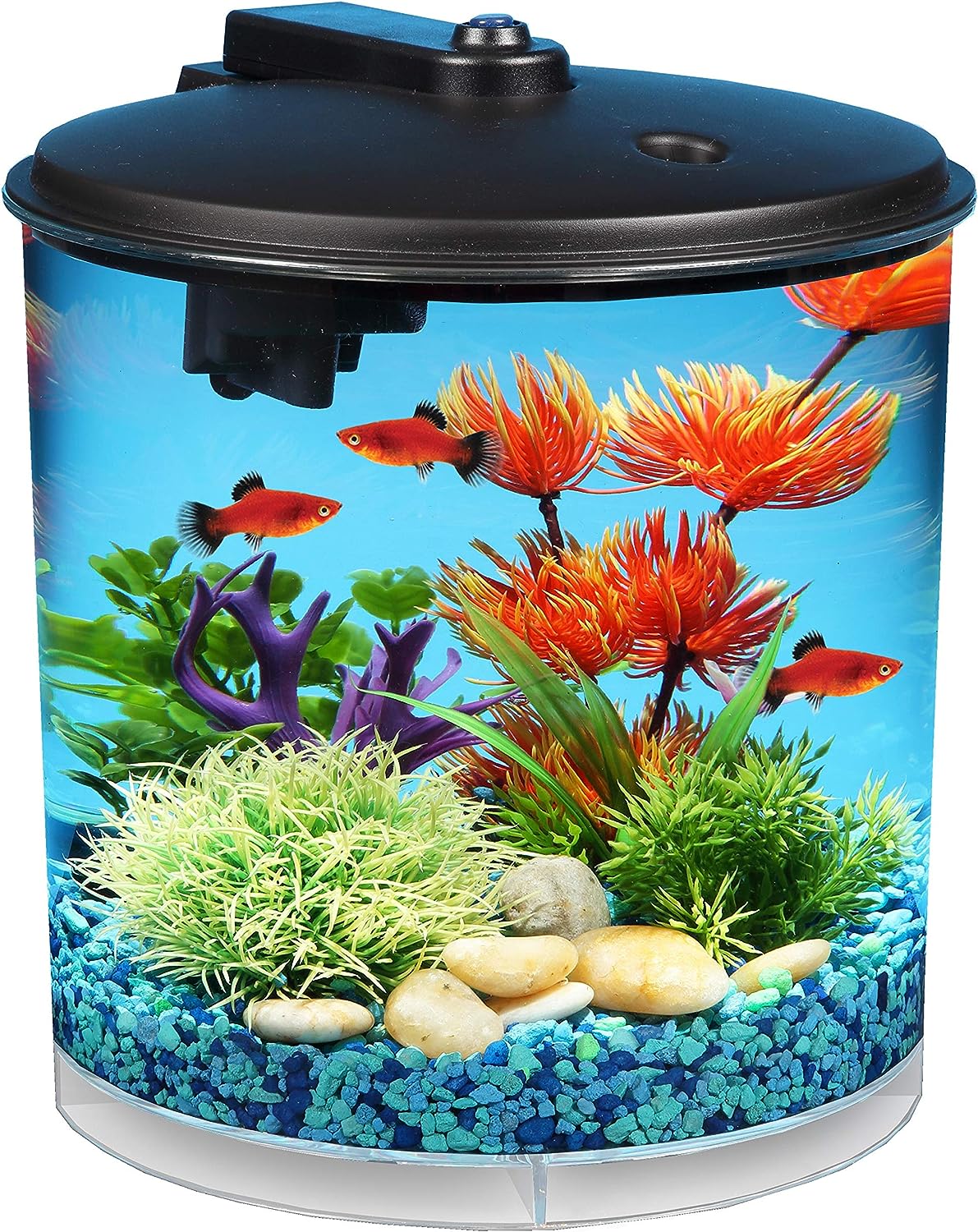 Koller Products AquaView: 2-Gallon Starter Kit for Tropical Fish with LED Light and Filter.