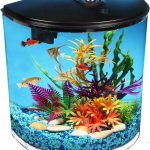 Koller Products AquaView 3.5-Gallon Starter Kit: Ideal for Various Fish – Betta Fish