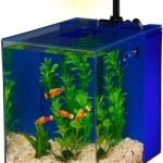 PENN-PLAX Water-World Prism Nano Aquarium Kit – 2 Gallons – Black