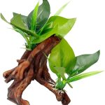 Smoothedo-Pets: Betta Leaf Hammock & Driftwood Cave Aquarium Decor