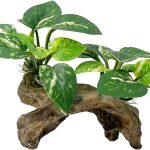 Smoothedo-Pets: Type-A Aquarium Decorations and Accessories