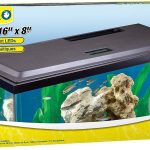 Tetra LED Hood: Low-Profile Aquarium Hood with Hidden Lighting.