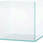 AWXZOM Small Nano Tall Rimless Tank: The Ultimate Small Fish Tank Solution