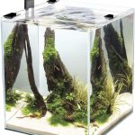 Cobalt Aquatics Microvue 30 Nano Aquarium Kit: Filter, LED Light (8 Gallon)