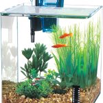 PENN-PLAX Nano Aquarium Kit: Ideal for Shrimp and Small Fish