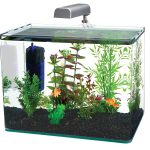 PENN-PLAX Water-World Nano Aquarium Kit – LED Light, Filter, Mat – 5 Gallon