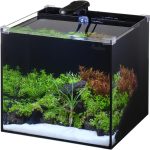 PONDON 5 Gallon Fish Tank: Easy Setup Low Iron Rimless Aquarium Kit