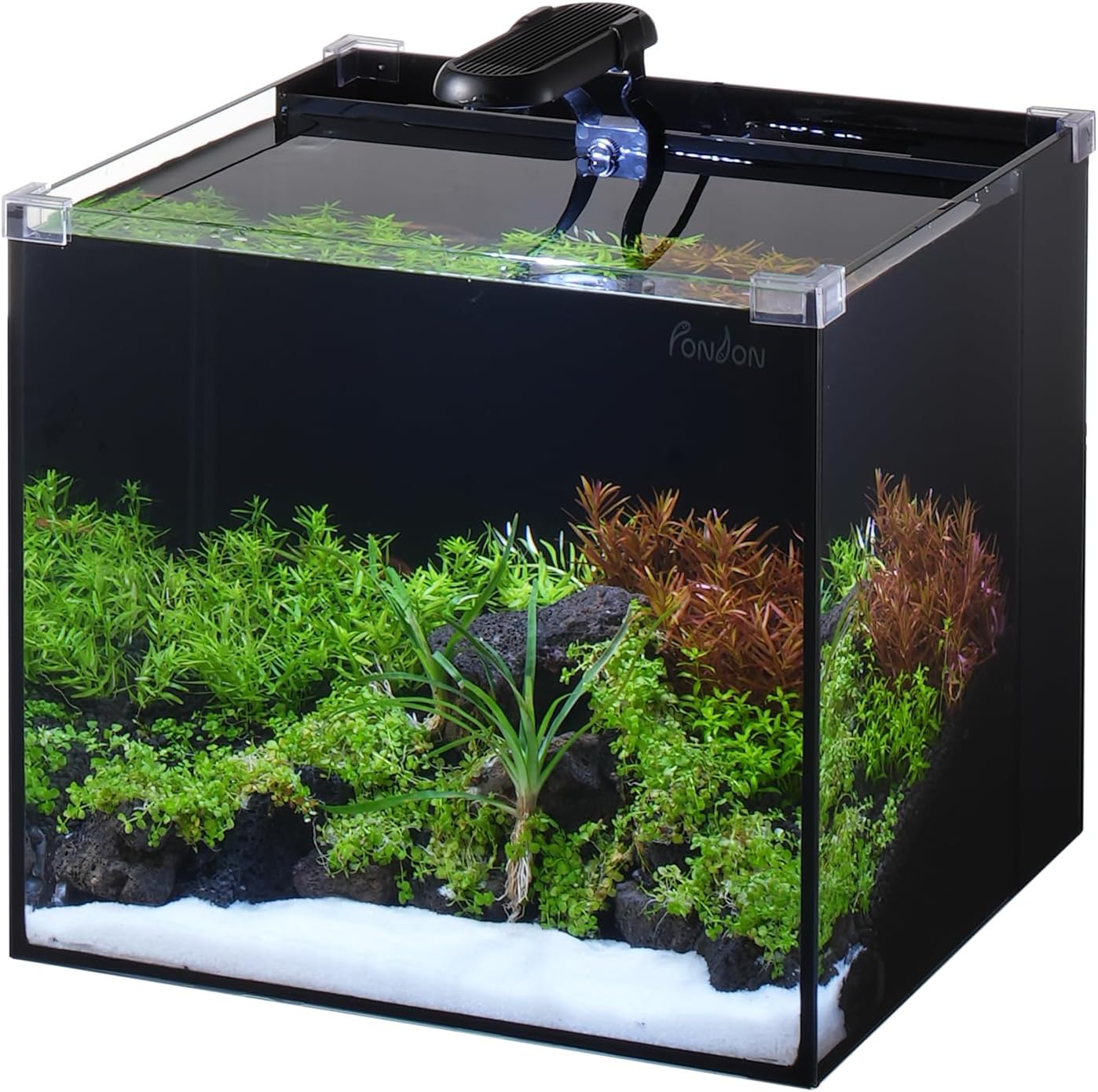 PONDON 5 Gallon Fish Tank: Easy Setup Low Iron Rimless Aquarium Kit