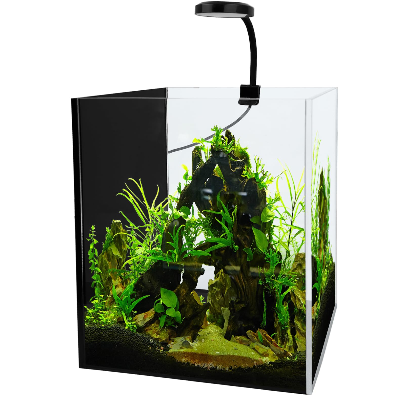 HEURYTEP Glass Betta Fish Tank: 2 Gallon LED Starter Kit