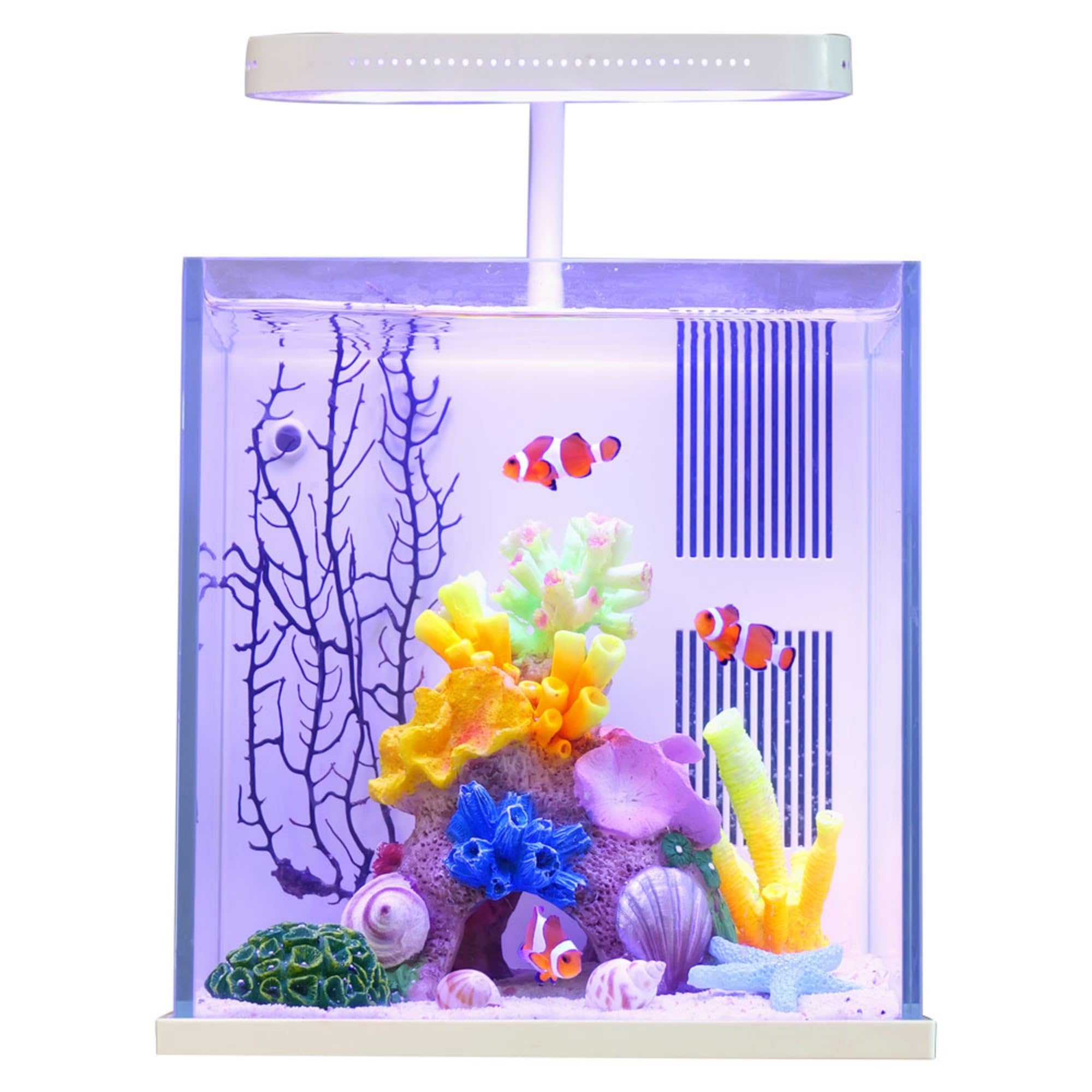 QANVEE Betta Nemo Fish Tank: Small Aquarium Starter Kit with Filter and Light