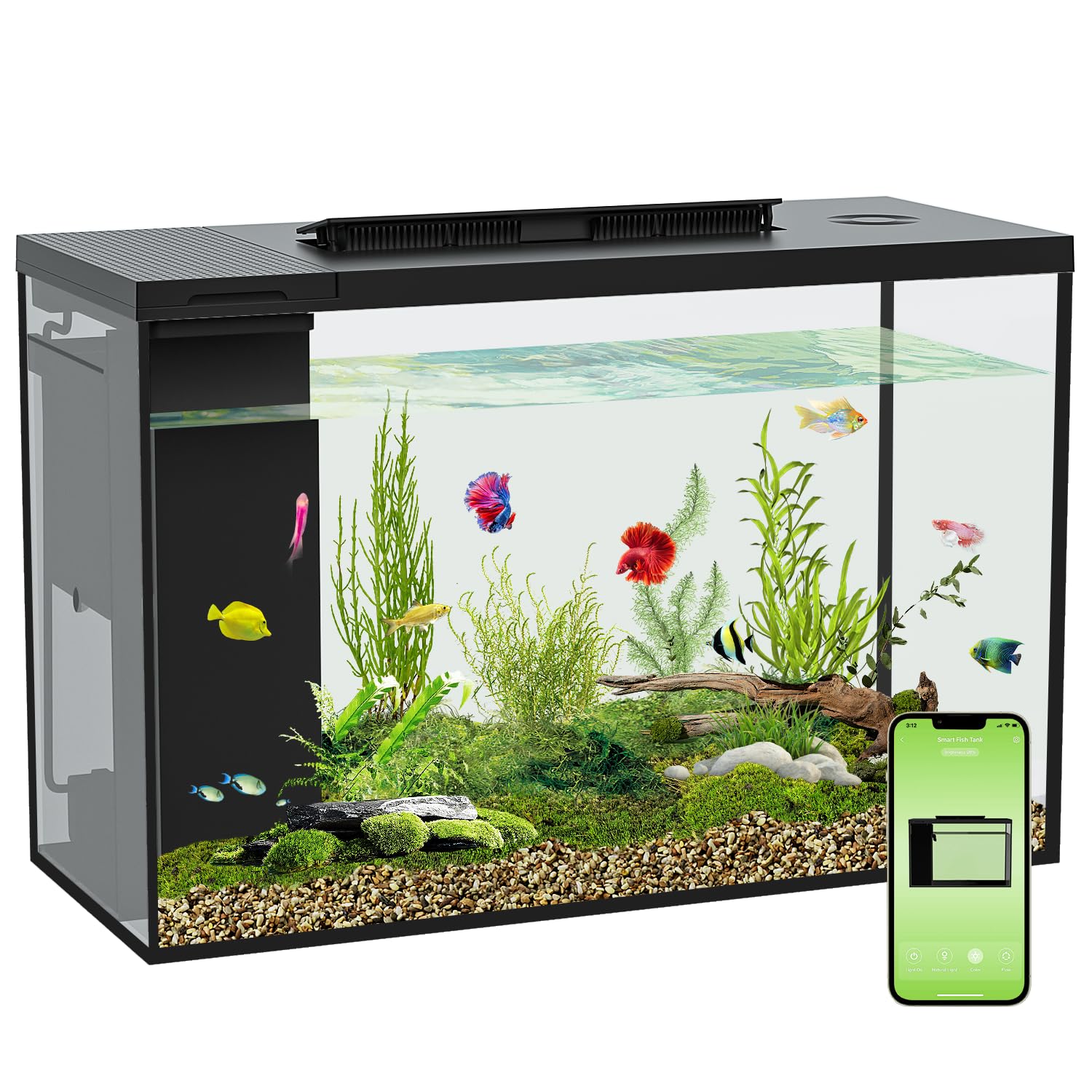 ERAARK 5 Gallon Betta Fish Tank: Self-Cleaning Smart Aquarium Kit