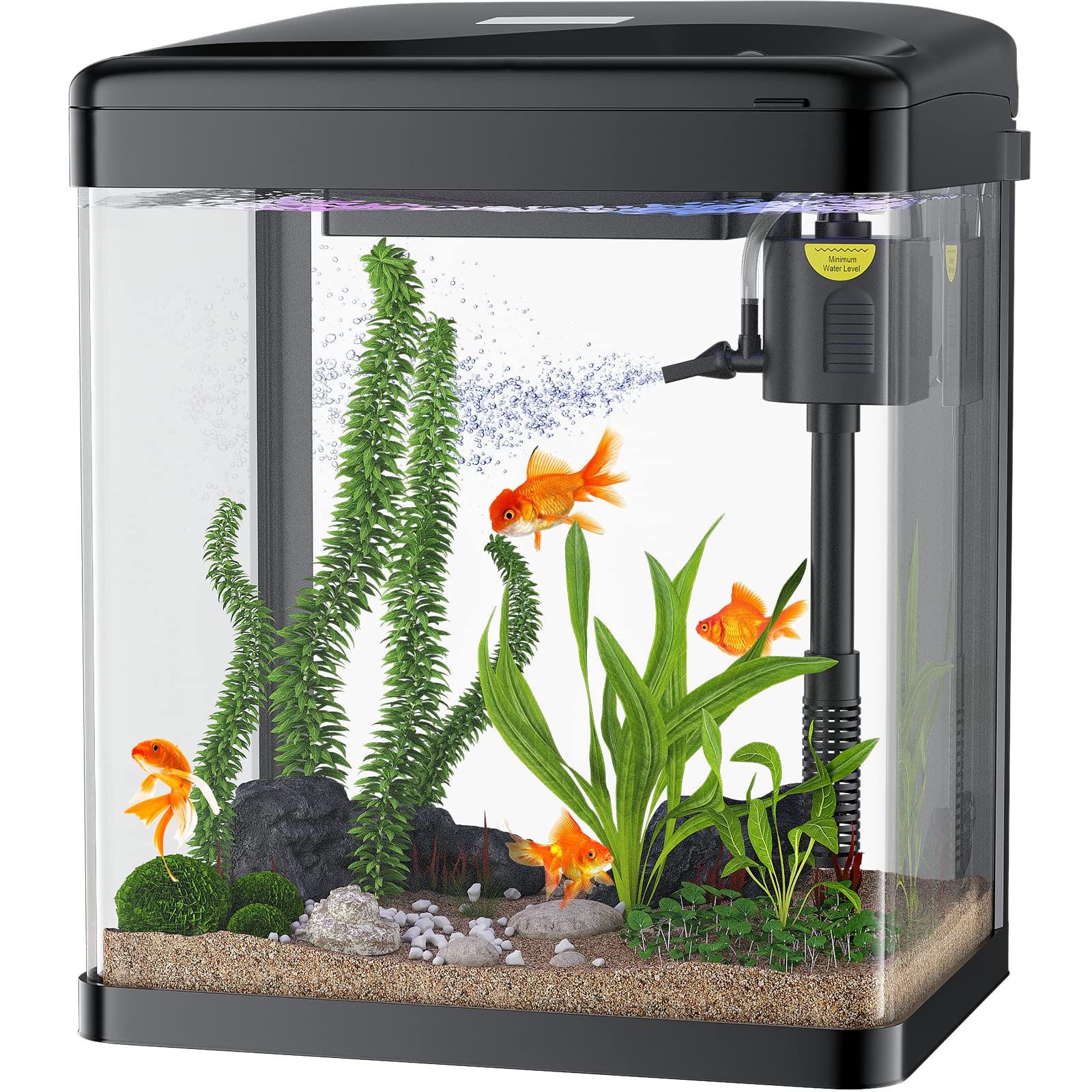 PONDON Betta Fish Tank: 2 Gallon Glass Aquarium with Filter and Light