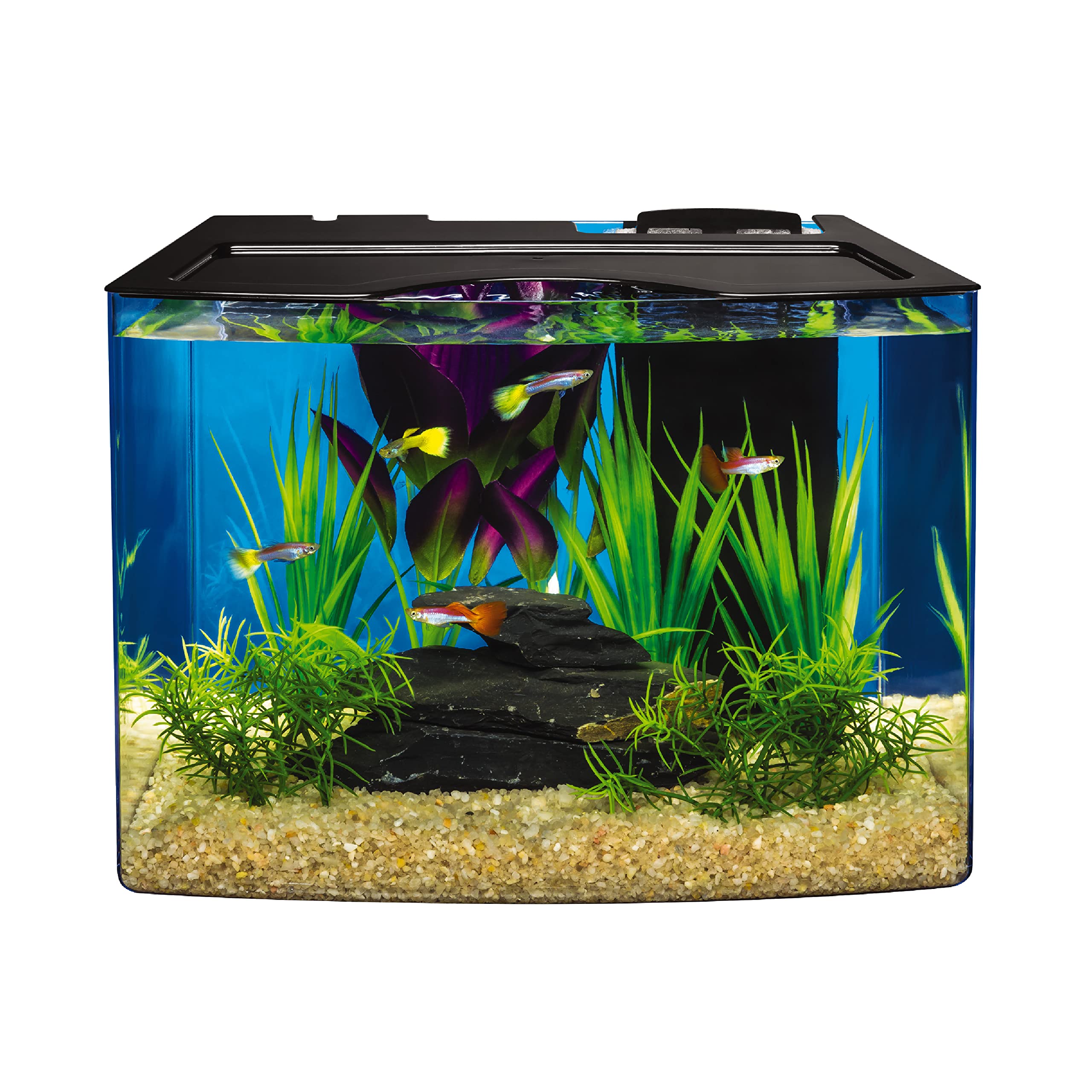 Tetra Crescent 5 Gallon Aquarium Kit with Curved-Front Tank and LEDs, Black.