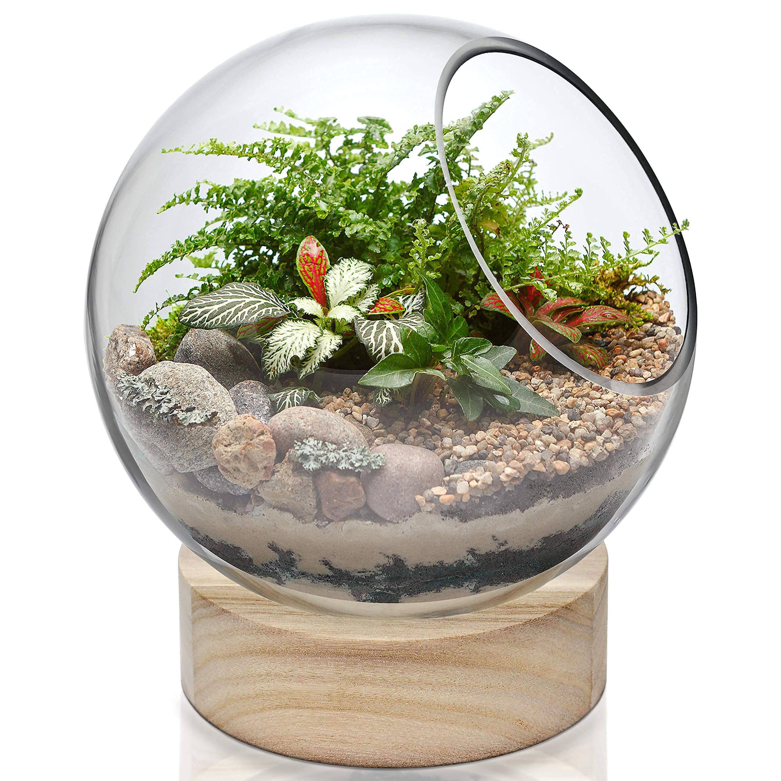 CYS EXCEL Glass Terrarium Candle Holder Bubble Bowl with Wood Base