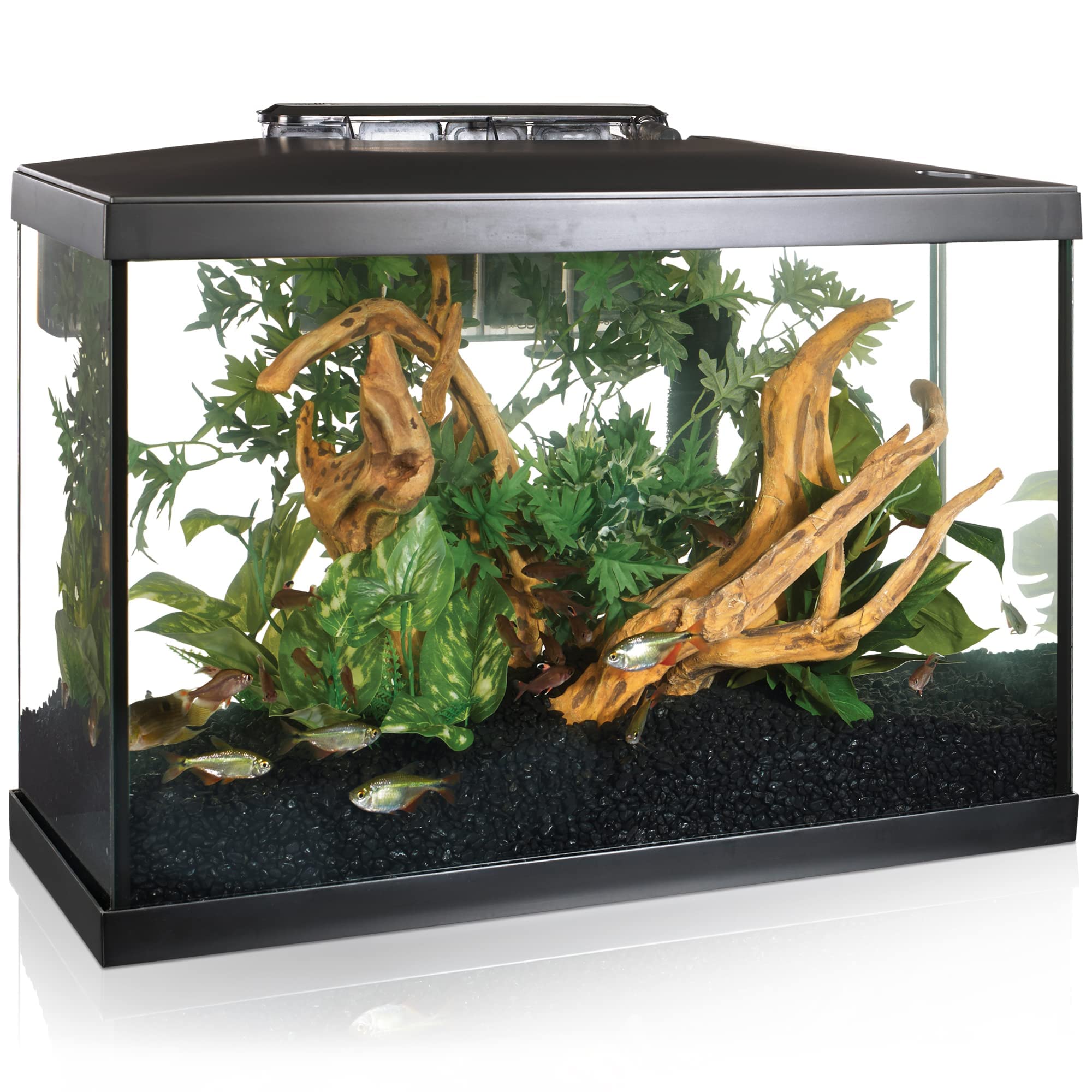Marina 5 Gallon LED Aquarium Kit – Perfect for Beginner Aquarists and Fish-Keepers.