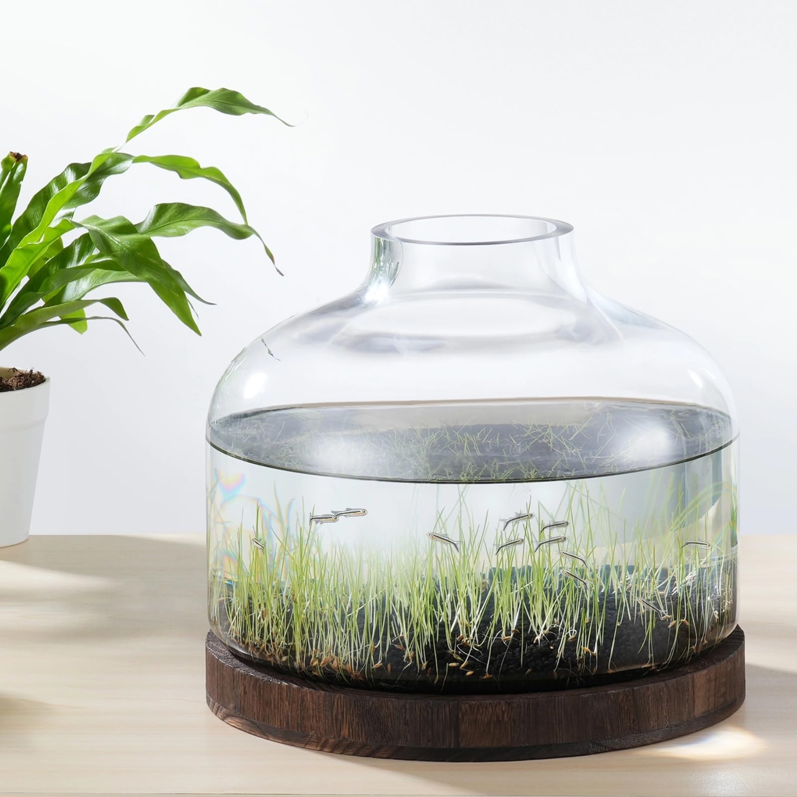 PONDON 2 Gallon Fish Bowl Vase: Trendy Aquarium Kit with Extras