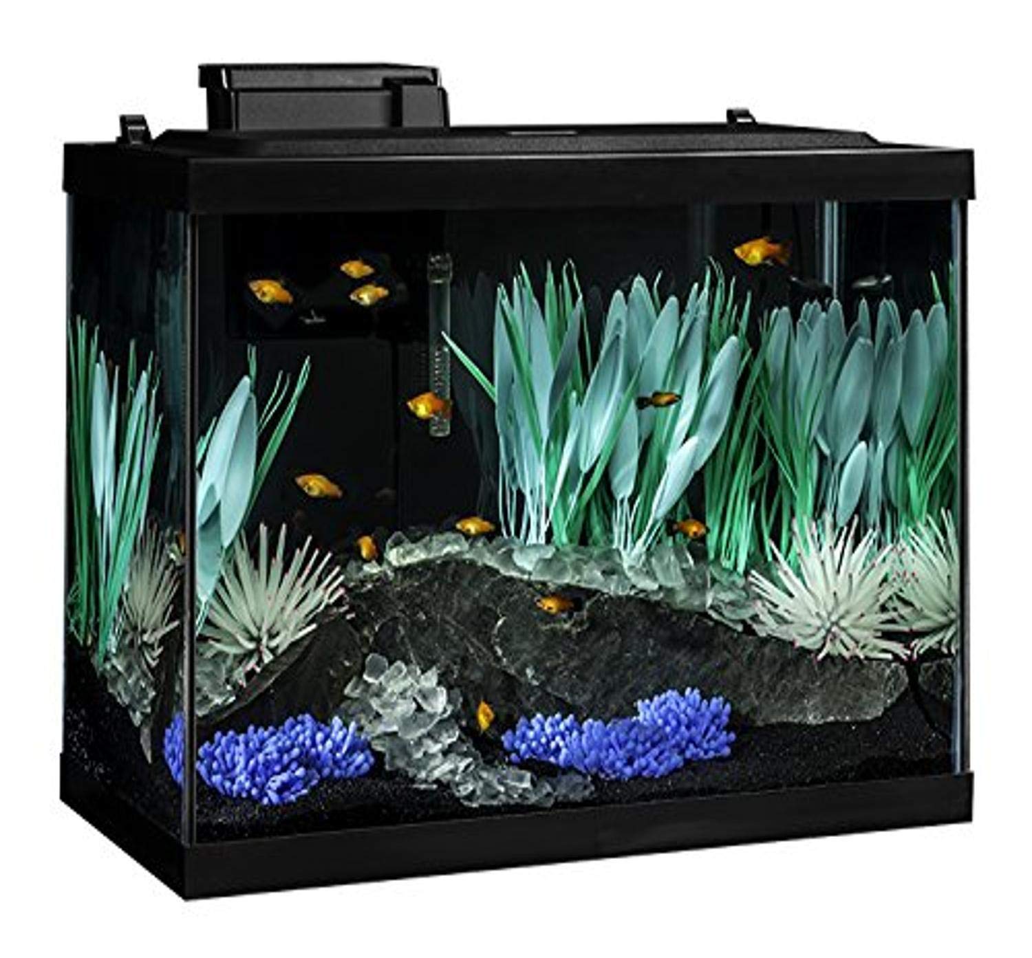 Tetra Aquarium 20 Gallon Fish Tank Kit: LED Lighting and Decor Included.