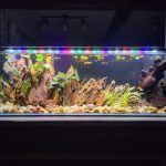 16 Gallon Low Iron Glass Bookshelf Aquarium