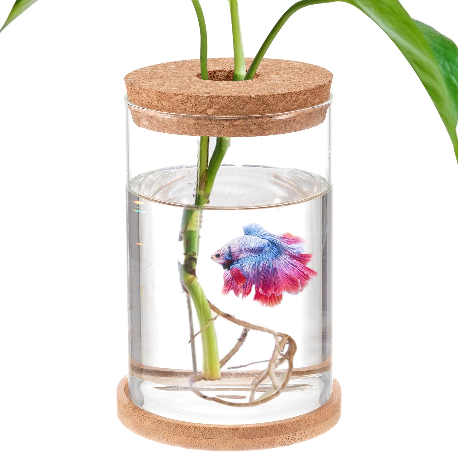 Mini BowlsHeading: Mini Bowls – Betta Fish Tank and Aquaponic Plant Terrarium