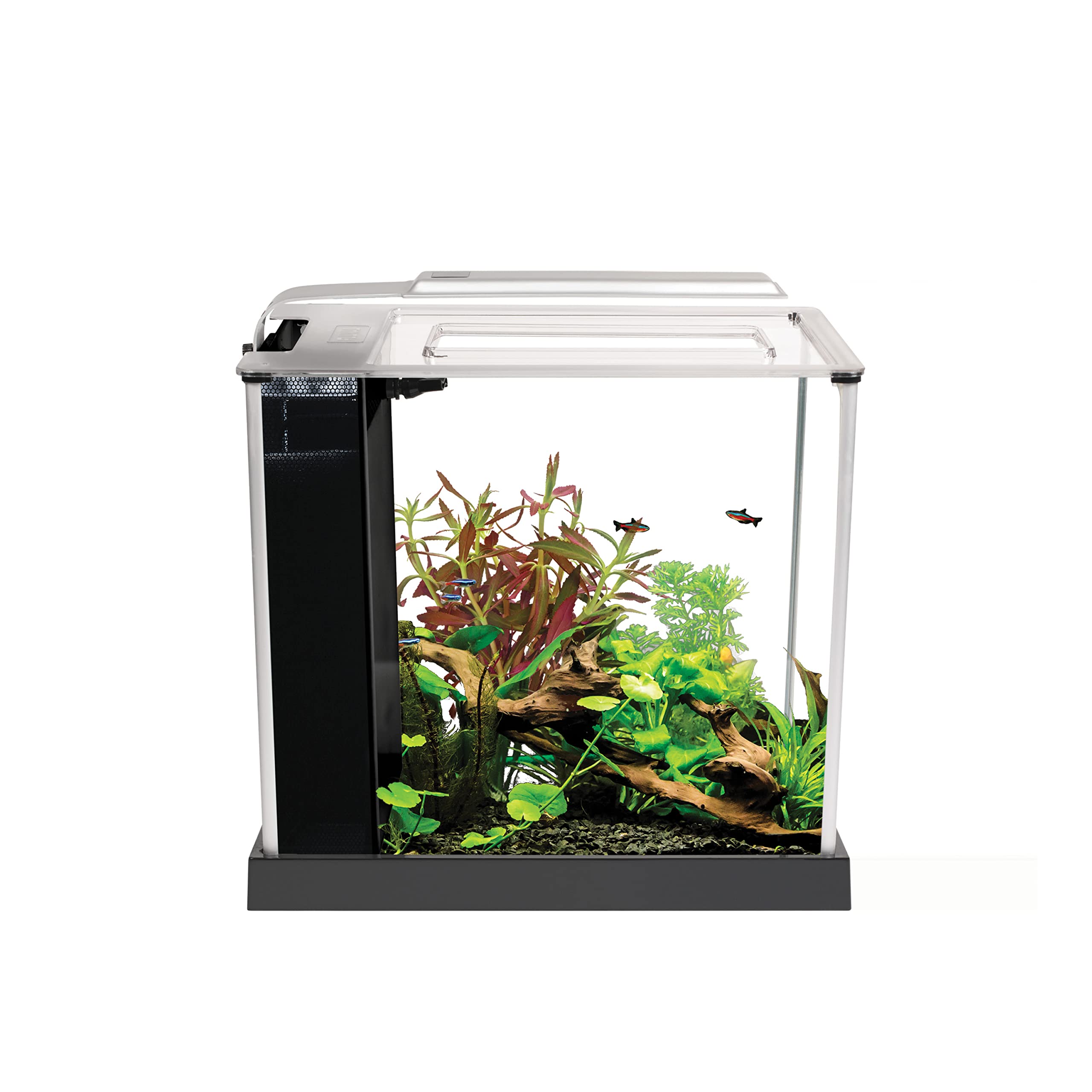 Fluval SPEC Aquarium Kit: LED Lighting, 3-Stage Filtration, 5 Gallon, White.