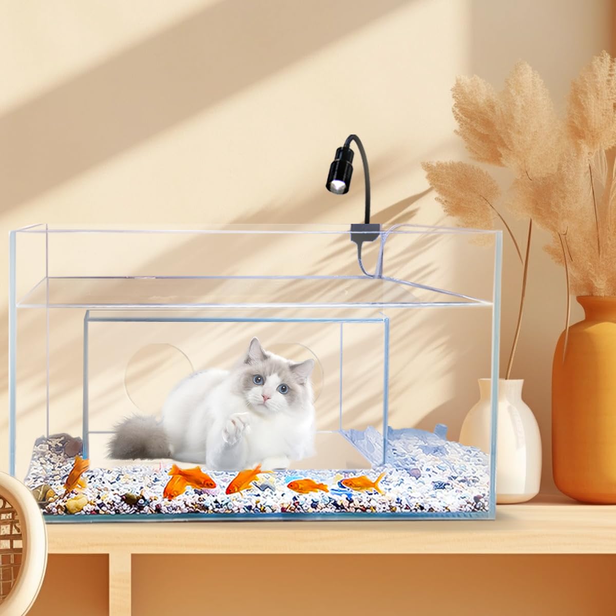 Cat House & Condos: Creative Funny Aquarium Tank for Cats to Watch and Play