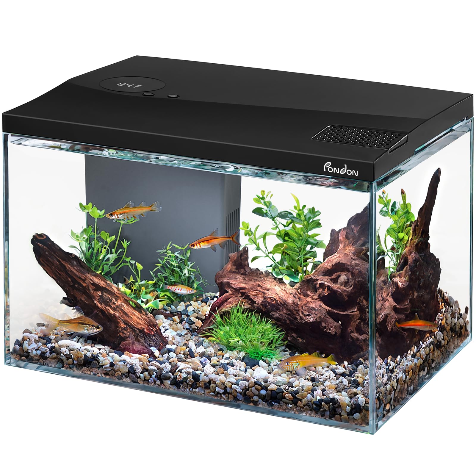 PONDON 5 Gallon Fish Tank: Detachable Lid, Temp Monitoring, Removable Filtration