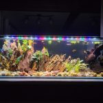Low Iron Glass Bookshelf Aquarium – 22 Gallon (35.82″ x 11.81 x 11.81)