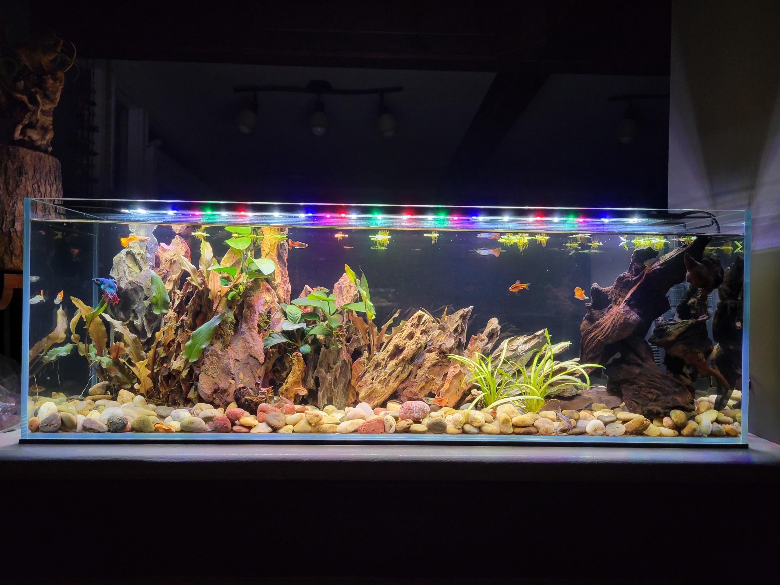 Low Iron Glass Bookshelf Aquarium – 22 Gallon (35.82″ x 11.81 x 11.81)