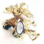 THATUWOOD Driftwood Bonsai: Aquatic Home Decor for Fish Tanks