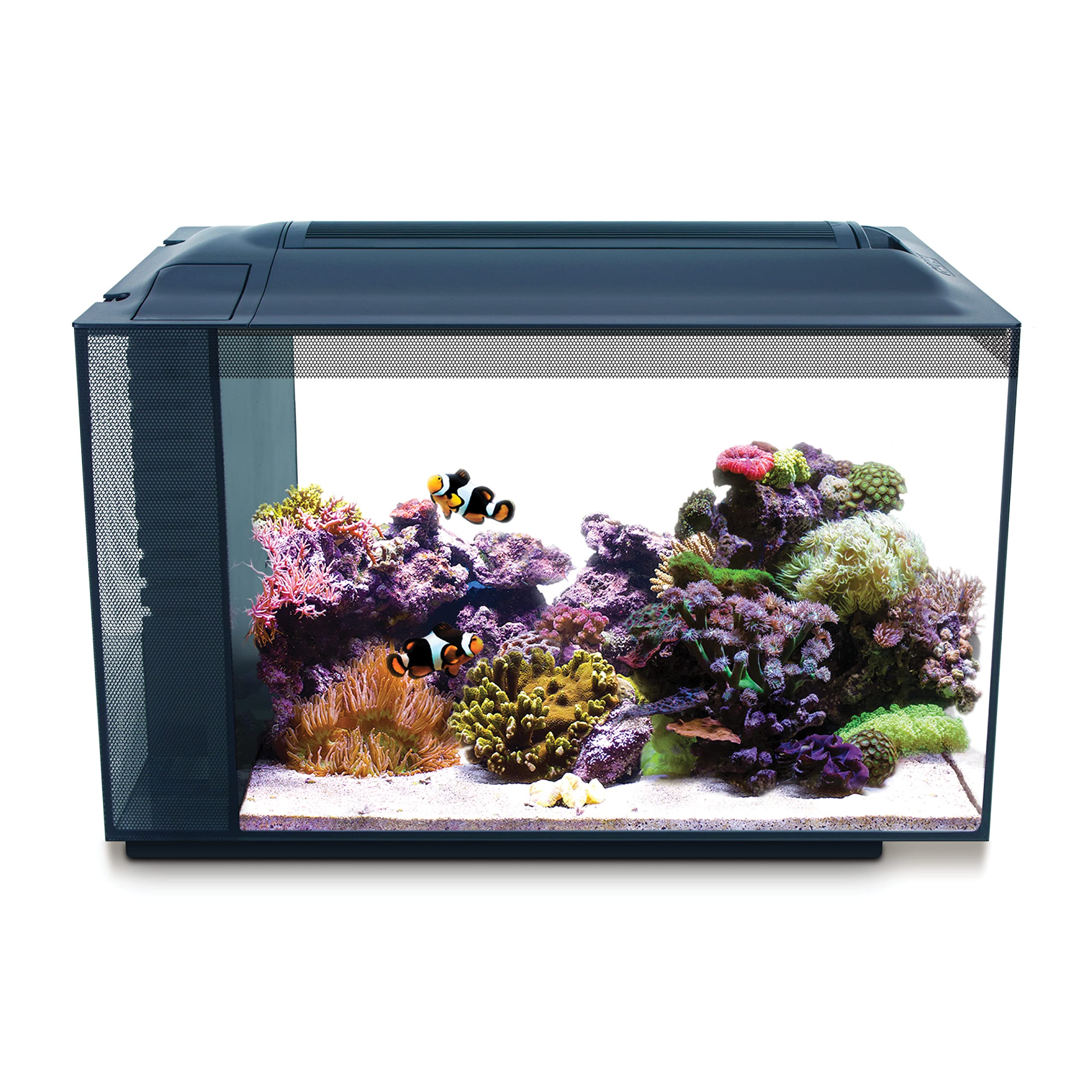 Fluval Evo XII 13.5 Gal Saltwater Aquarium Kit with LED & Filtration