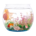 Wliwwo: 2 Pack 1 Gallon Plastic Fish Bowls for Decor
