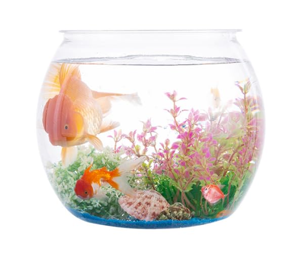 Wliwwo: 2 Pack 1 Gallon Plastic Fish Bowls for Decor