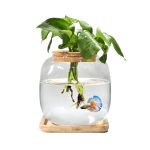 AquaticLife Small Betta Fish Tank with Bamboo Stand and Lid