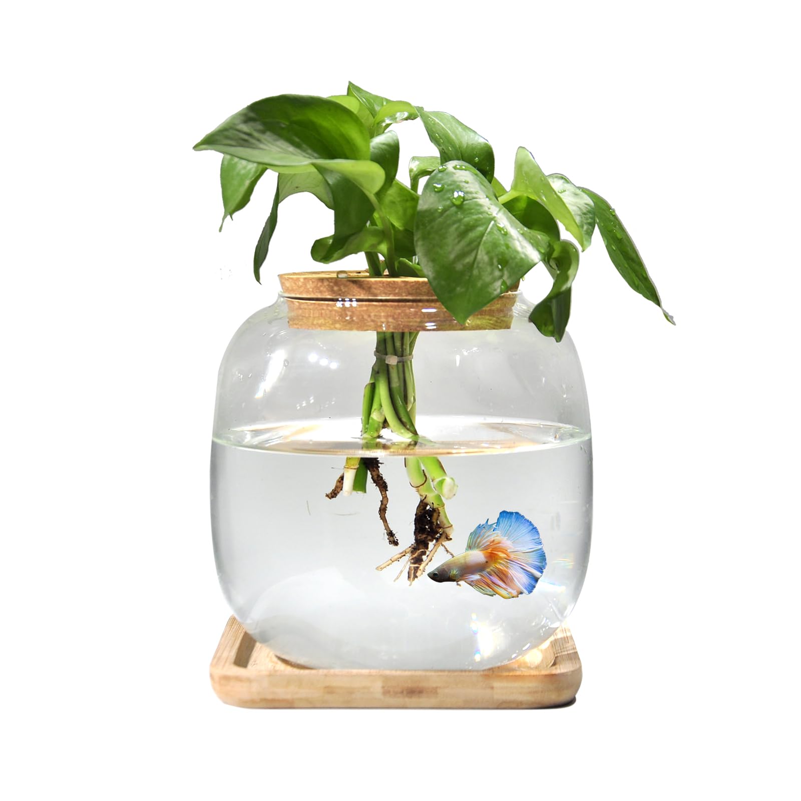 AquaticLife Small Betta Fish Tank with Bamboo Stand and Lid