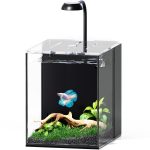 Betta Bliss 2 Gallon Rimless Nano Tank Starter Kit with Filtration