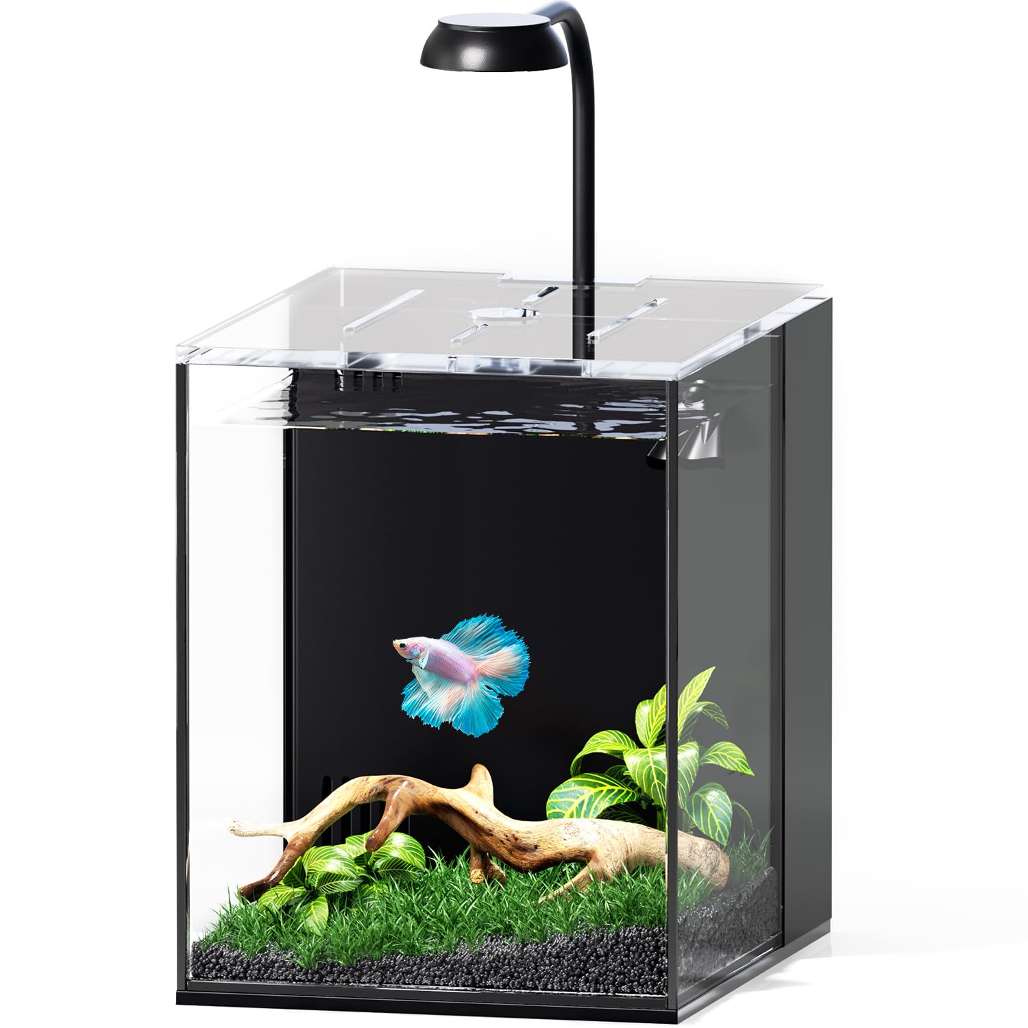 Betta Bliss 2 Gallon Rimless Nano Tank Starter Kit with Filtration