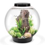 biOrb Classic 15 Acrylic 4-Gallon Aquarium with White LED Lights