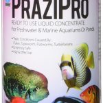 Hikari Usa Prazipro for Aquariums, 4-Ounce Treatment Solution