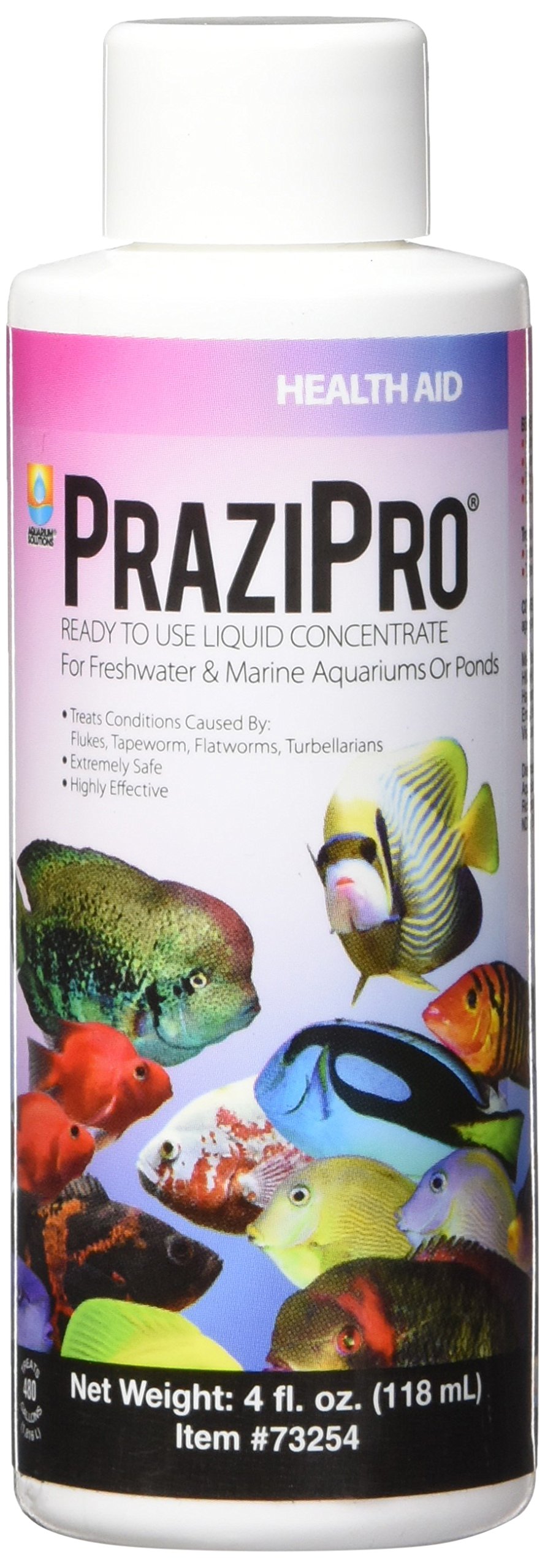 Hikari Usa Prazipro for Aquariums, 4-Ounce Treatment Solution